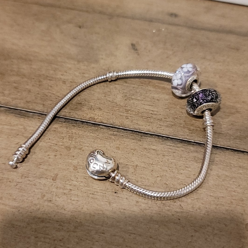 NWOT Authentic Pandora Bracelet and Charms